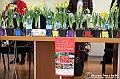 VBS_1034 - Presentazione Messer Tulipano 2025 - 25.ma edizione